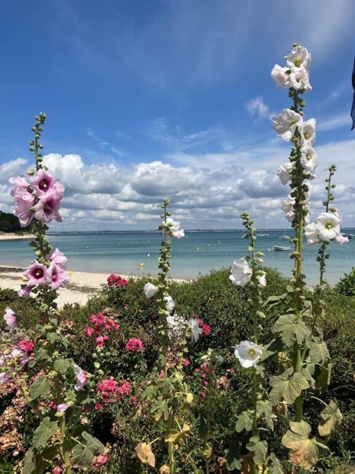 Appartement Belles Vacances Quiberon Dış mekan fotoğraf